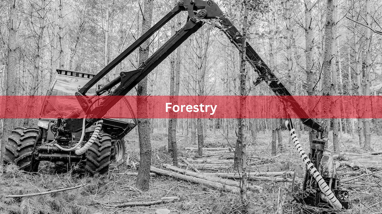 Forestry