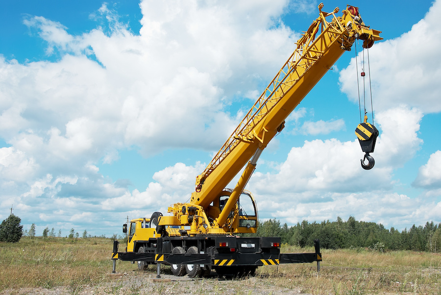 Cranes Cranes